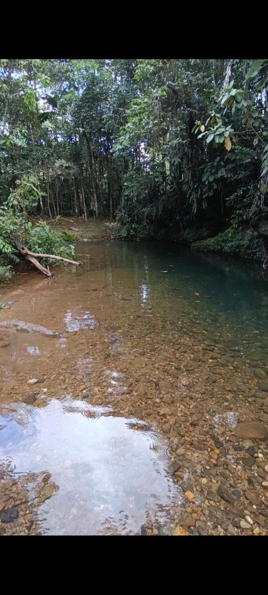 El Jardin Secreto De Alvita Lejlighed Puyo Eksteriør billede